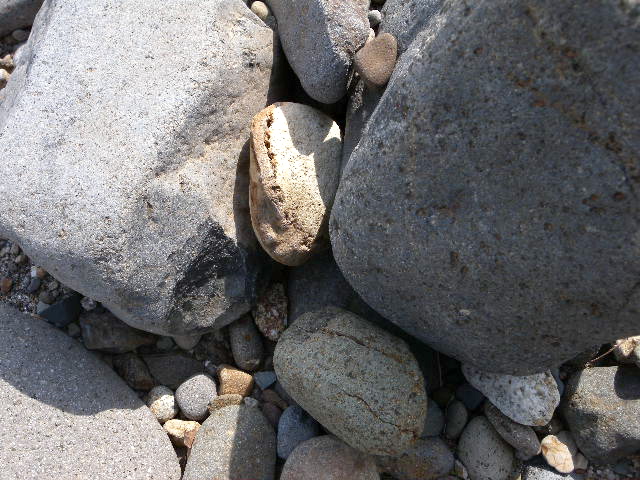 a0199297_203566.jpg
