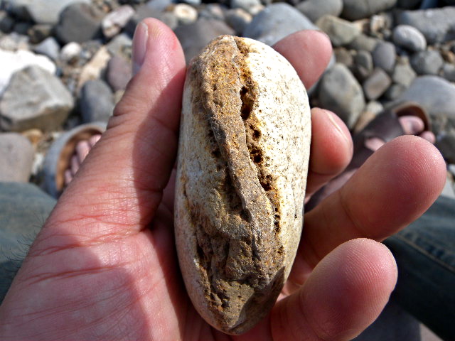 a0199297_20374240.jpg