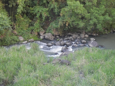 c0361298_21573935.jpg