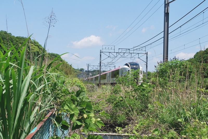 小さな花が・・・_e0025300_13561595.jpg