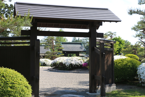 伝国の杜＆上杉記念館の庭園、松が岬公園を散歩：５月２３日（小満・初候）蚕起きて桑を食む・・・１３_c0075701_22122163.jpg