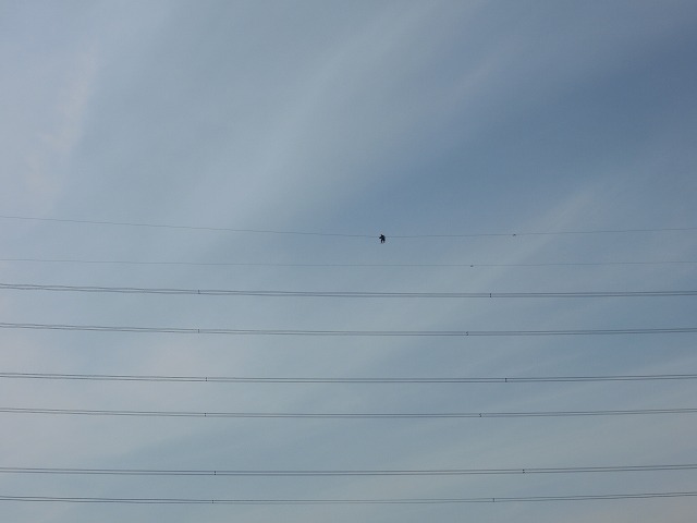 f0193702_20494072.jpg
