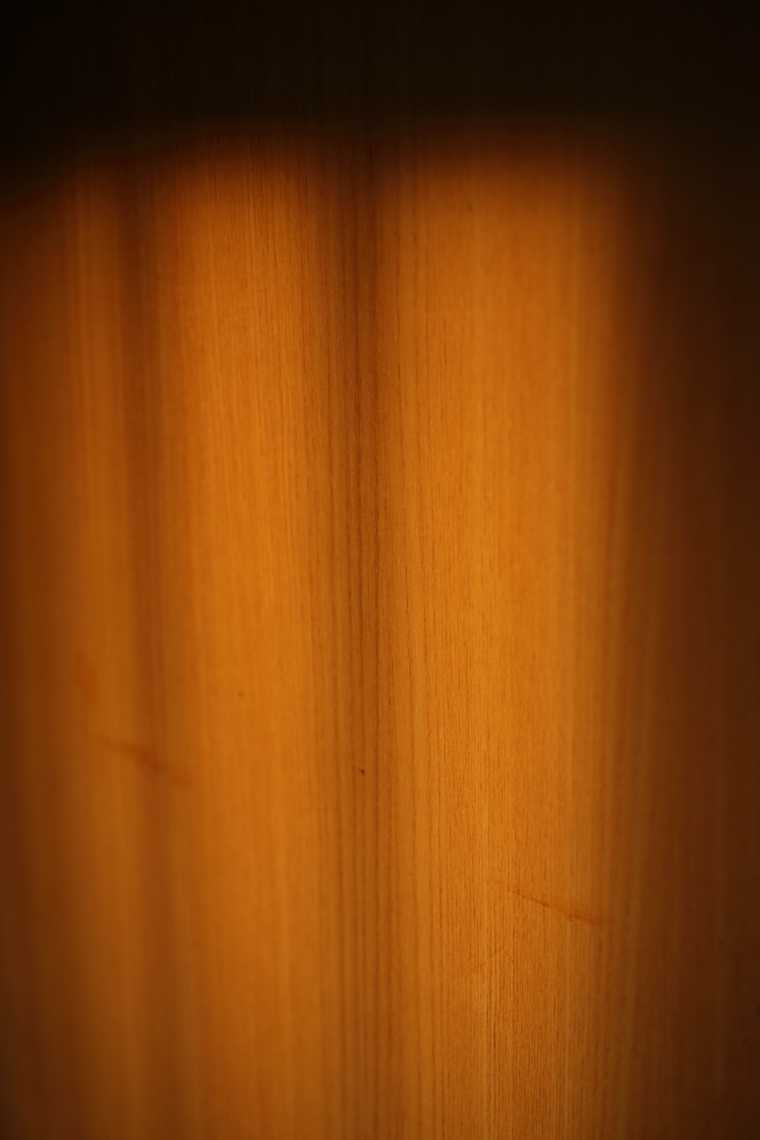 a0155104_8484960.jpg