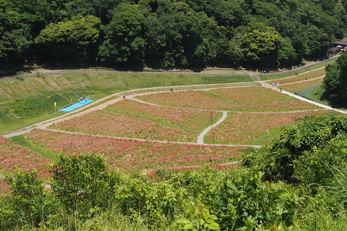 a0213011_829562.jpg