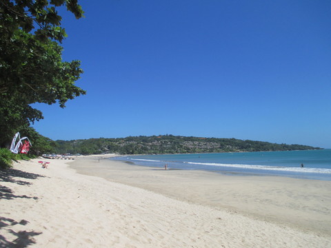 b0183111_833510.jpg