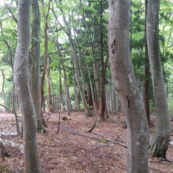 f0357714_19341212.jpg