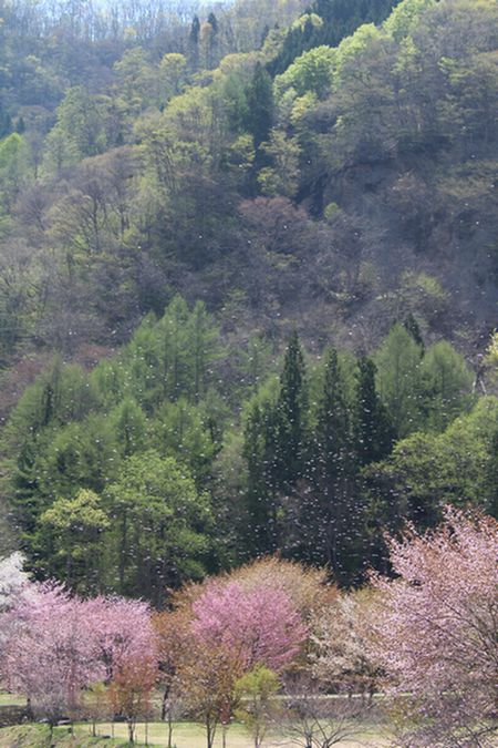 c0073016_2151201.jpg