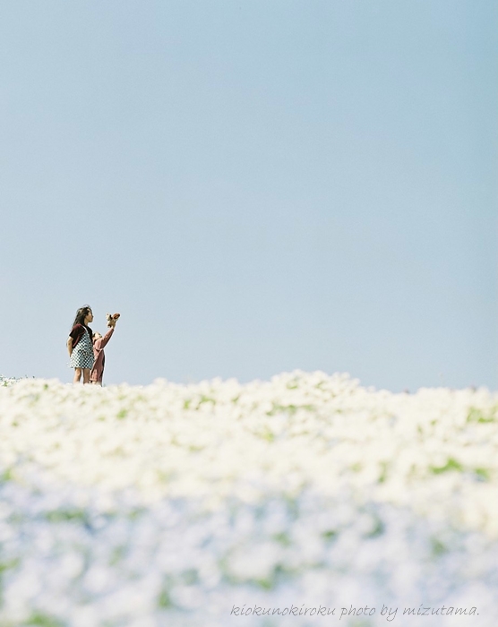 filmcamera×nemophila×daughter。_a0289117_0215714.jpg