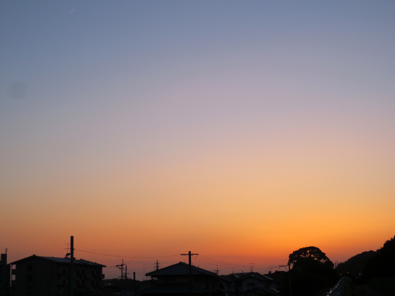 d0190217_02543.jpg