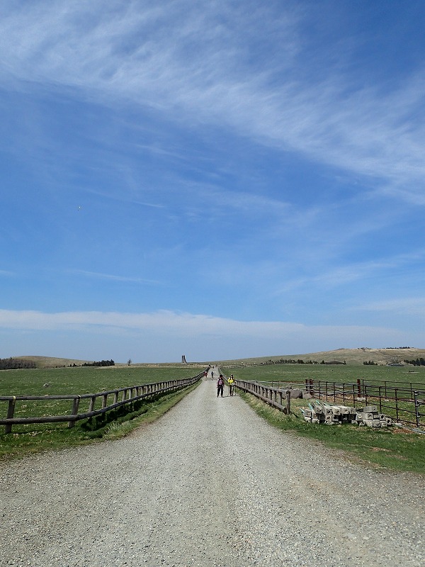 e0284726_964181.jpg