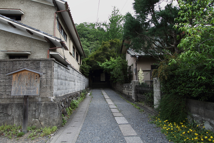 初夏の八瀬から岩倉へ －蓮華寺（前編）－_b0169330_2328774.jpg