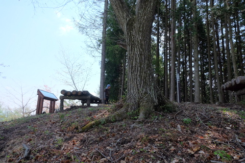 大羽根山から丸山へ　〜4月26日(日)〜　その①_b0281732_15263251.jpg