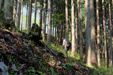 大羽根山から丸山へ　〜4月26日(日)〜　その①_b0281732_15291263.jpg