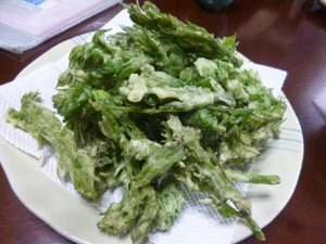 c0343936_203648.jpg