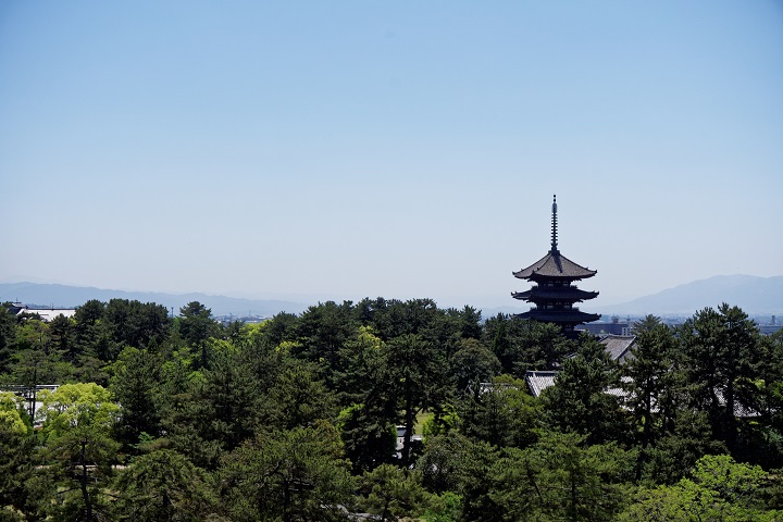 f0274536_042261.jpg