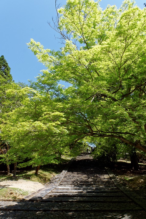 f0274536_0424826.jpg