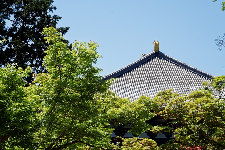 f0274536_0425762.jpg