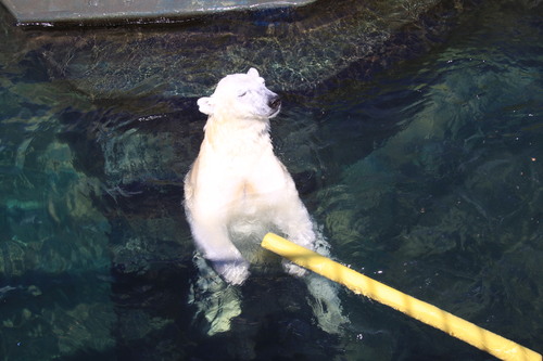 またまたミルクたっぷり 5月23日_f0113639_18484871.jpg