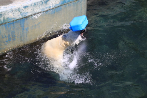 またまたミルクたっぷり 5月23日_f0113639_1848621.jpg