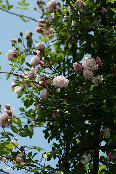f0271343_20414117.jpg