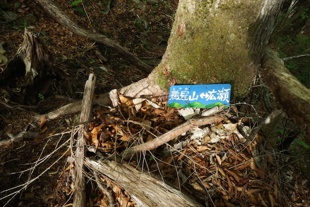 帰小屋_c0369344_07234341.jpg