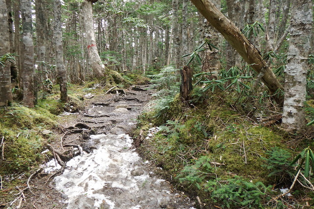 帰小屋_c0369344_07274373.jpg
