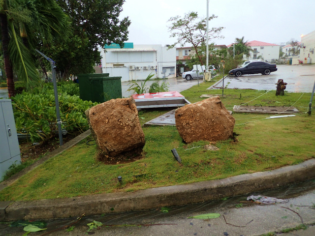 台風ドルフィン（７号）_d0012449_16563055.jpg