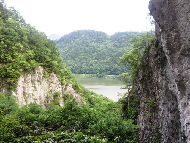 四日振りのコウモリ谷_b0227552_20293237.jpg