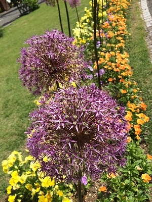 e0170558_21461191.jpg