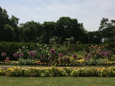 e0170558_21500274.jpg