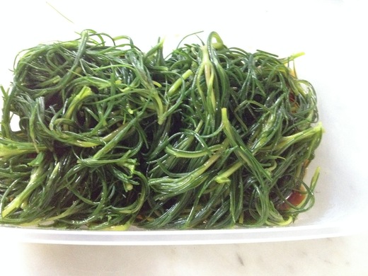 オカヒジキの中華サラダ_a0136671_2204822.jpg