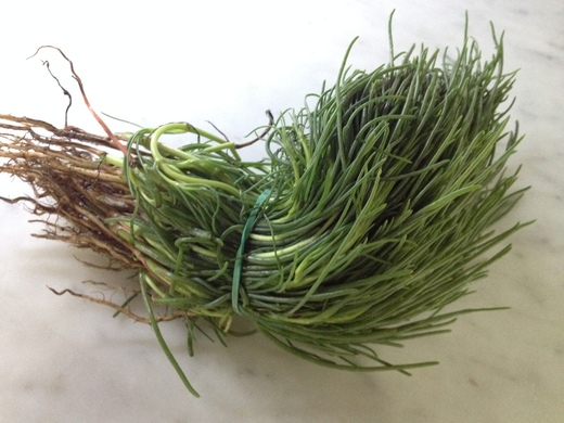 オカヒジキの中華サラダ_a0136671_252055.jpg