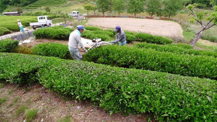 三田市～氷上町～加東市～明石市  53日目_c0212083_19475942.jpg