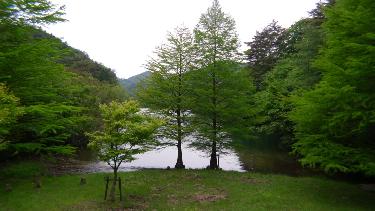 c0212083_19492336.jpg