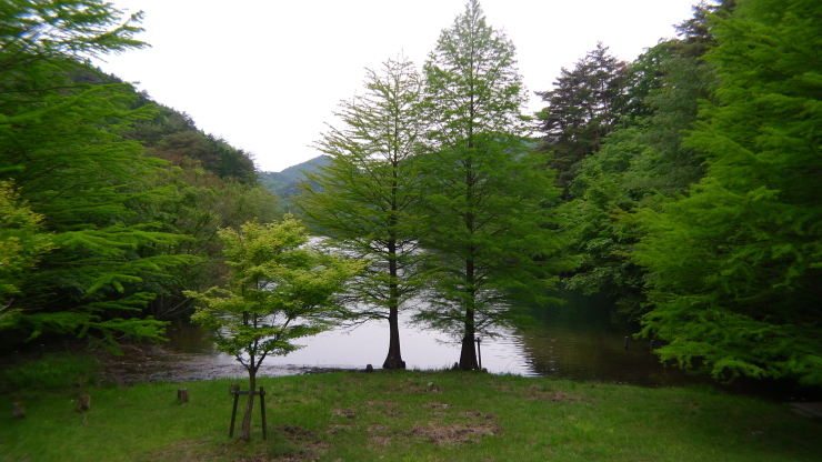 三田市～氷上町～加東市～明石市  53日目_c0212083_19492336.jpg