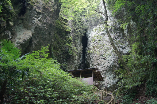 d0326888_21593648.jpg