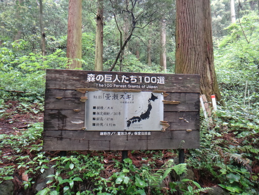 d0326888_2324337.jpg