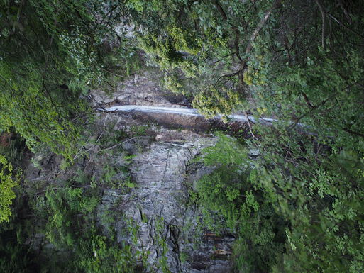 d0326888_2345935.jpg