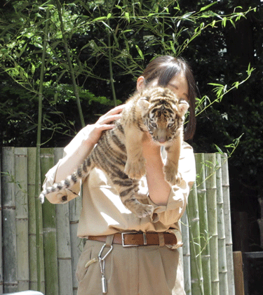 f0110488_15472386.gif