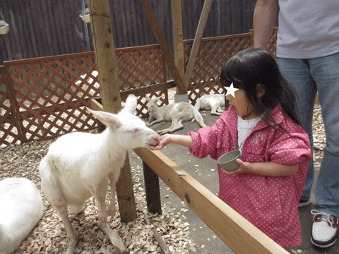 f0110488_15493693.gif