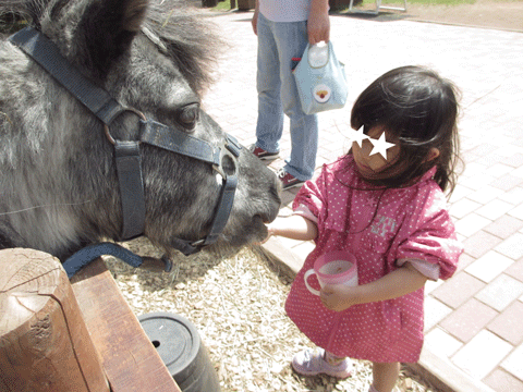 f0110488_15532895.gif