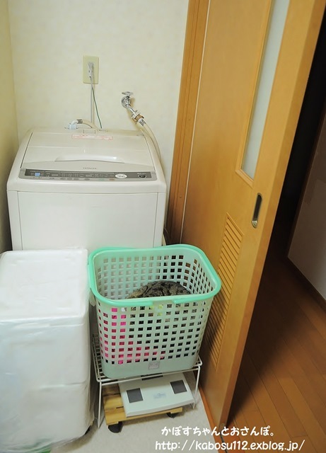 どこでもベッド_a0126590_05390470.jpg