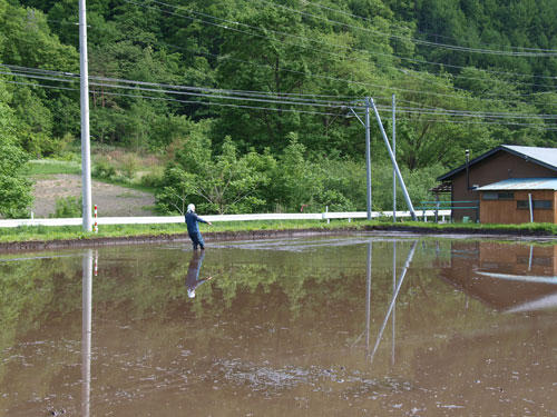 f0236291_9304376.jpg