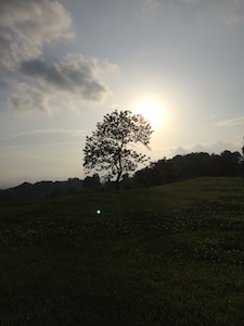 b0139996_219019.jpg