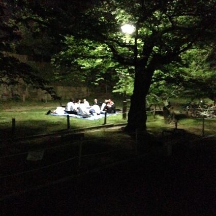 「night picnic in HIMEJIキャッスルゥぅ ~OKIGARUNI~」_e0117398_17473875.jpg
