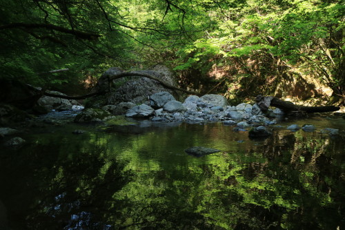a0327600_21293049.jpg