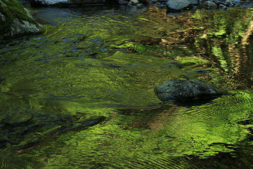 a0327600_21294758.jpg