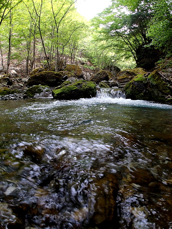 c0339900_7254445.jpg