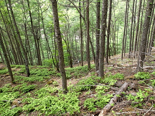 c0339900_8134451.jpg