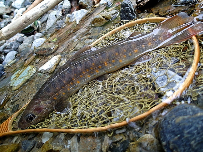 c0339900_8285150.jpg